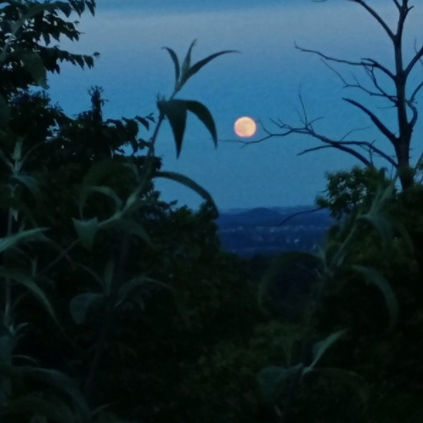 20160620_211741
