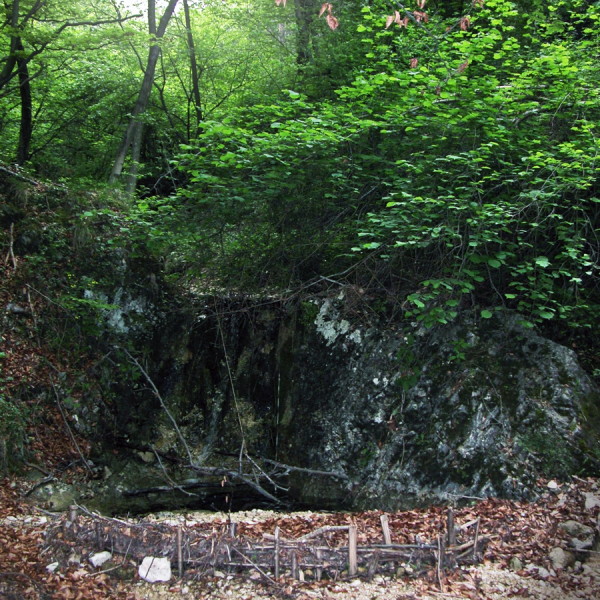 DSCN0060