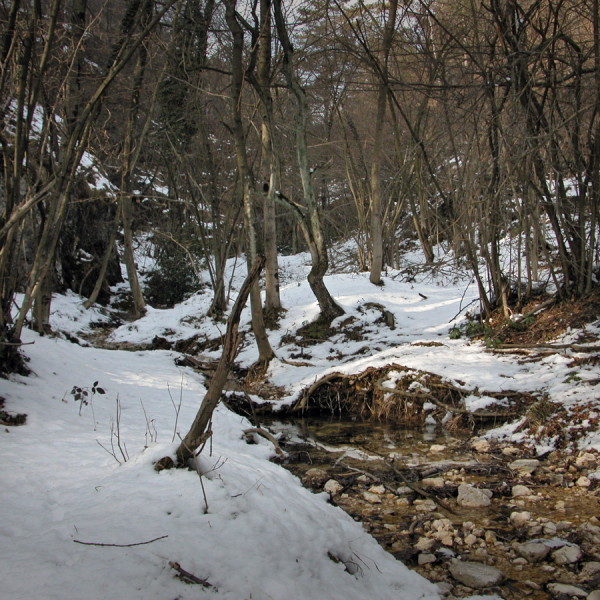 DSCN0075