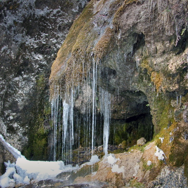 DSCN0100