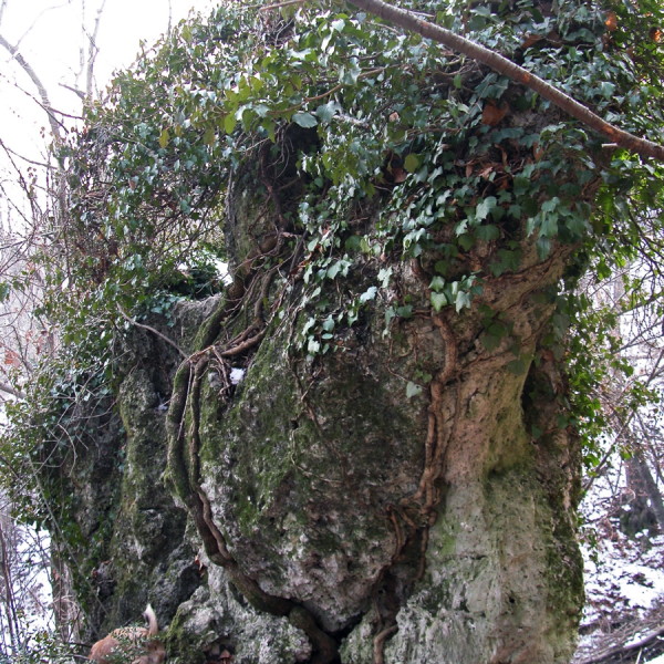 DSCN0134