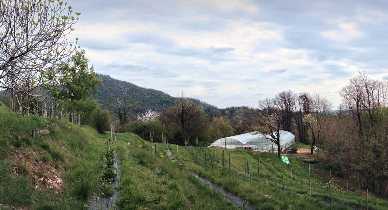 Untitled_Panorama2